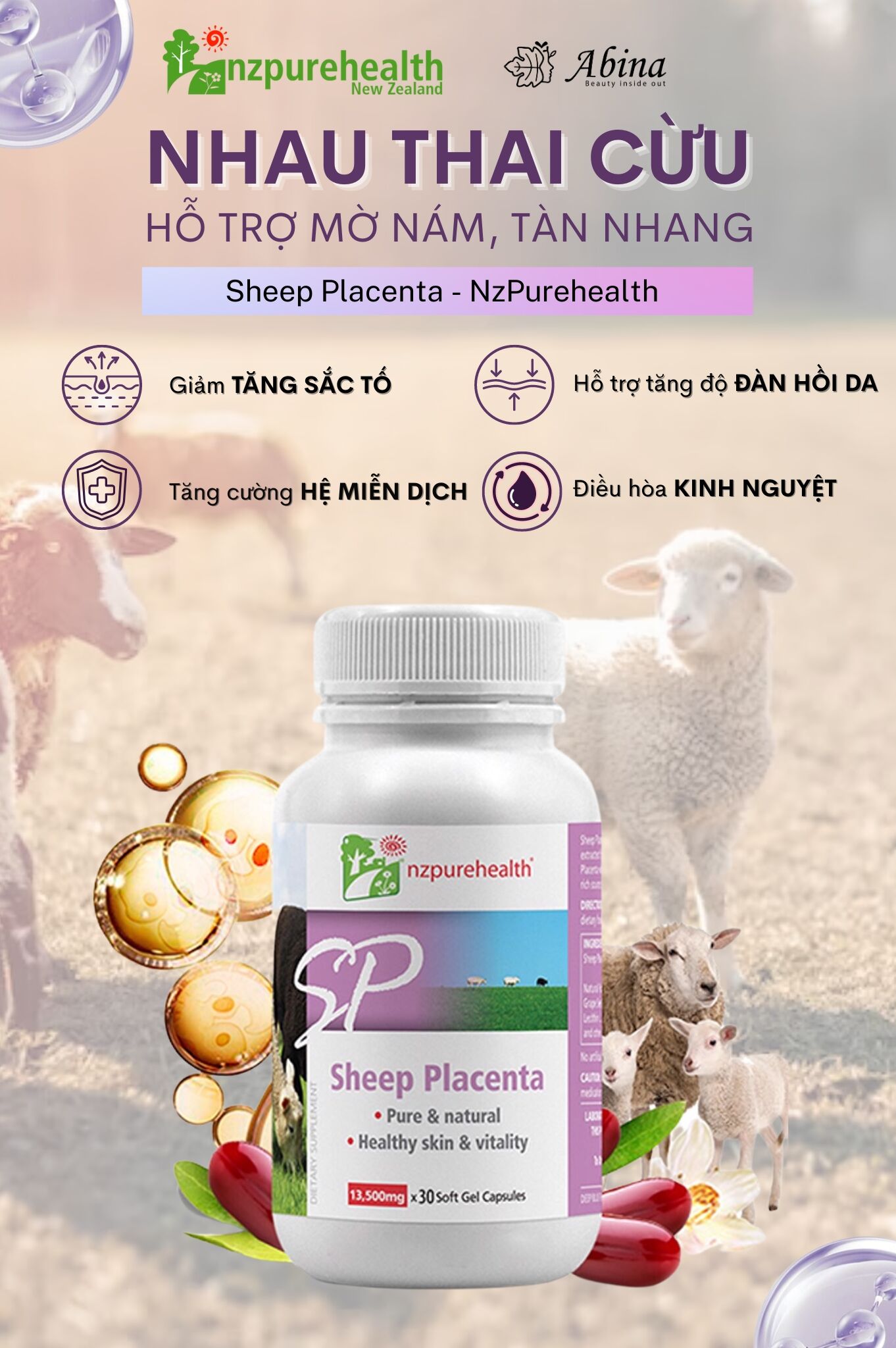 Vien-uong-nhau-thai-huou-Sheep-plancenta-2