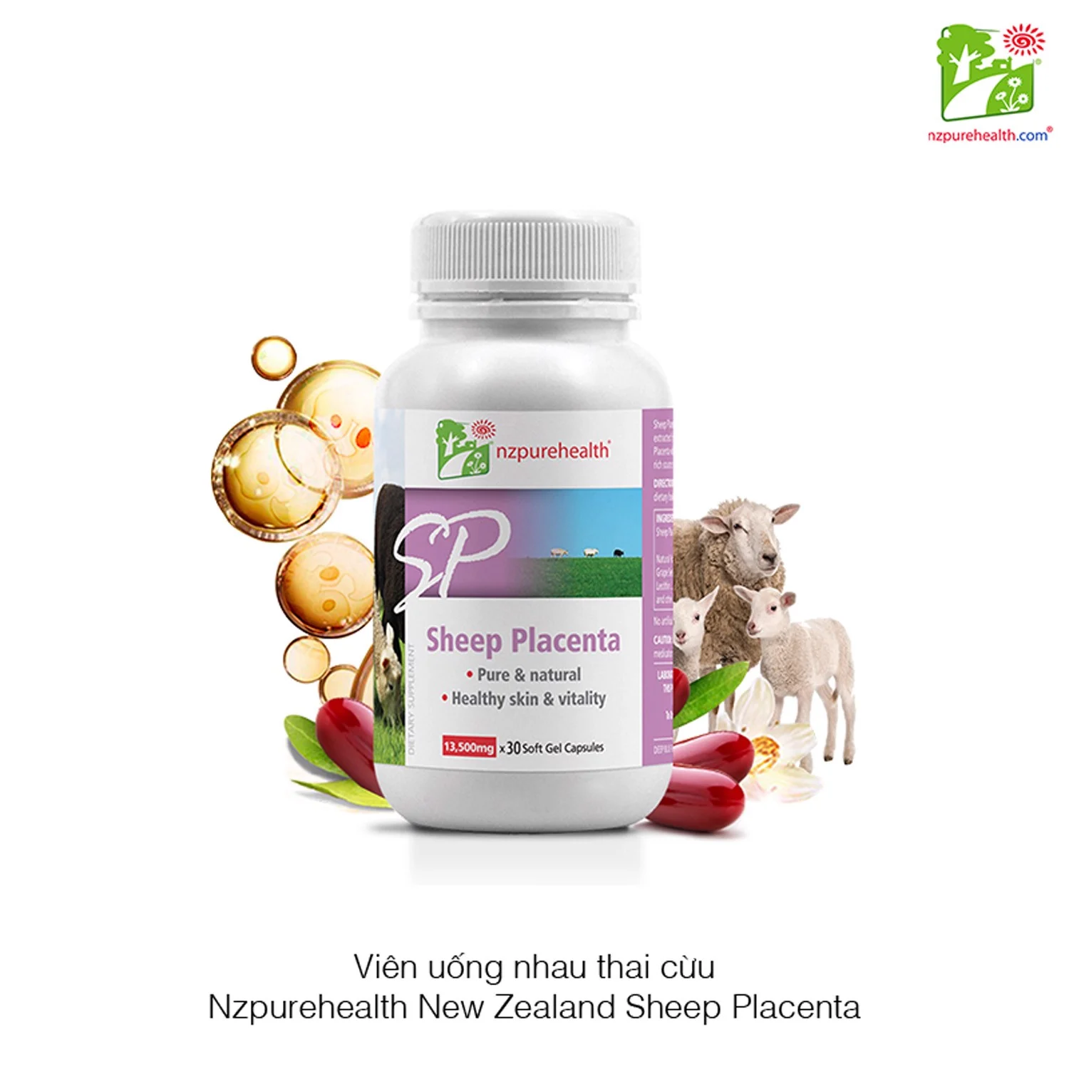 vien-uong-nhau-thai-cuu-nzpurehealth-new-zealand-sheep-placenta_792b91680fc34451a8f665c26c888dc2_master